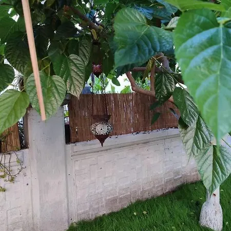 מלון Yesil