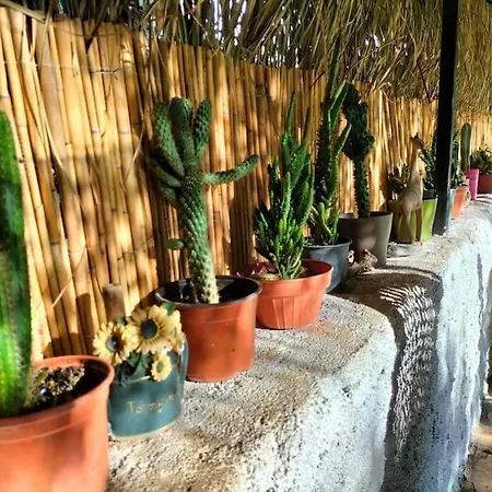 Yesil פאטהיה