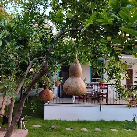 Yesil מלון