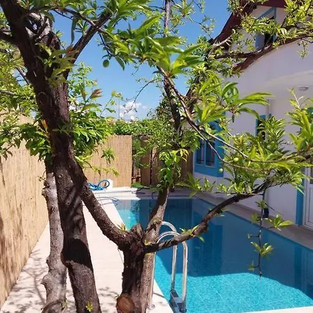 Yesil מלון
