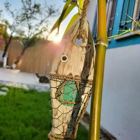 Yesil פאטהיה