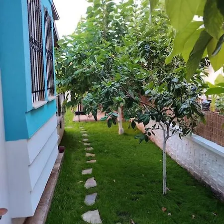 מלון Yesil *