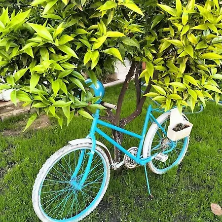 מלון Yesil פאטהיה