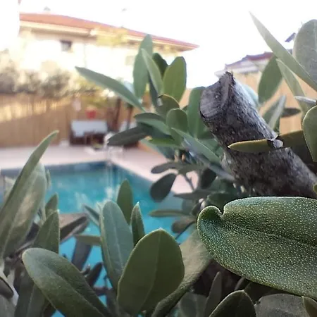 מלון Yesil