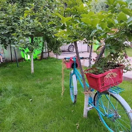 Yesil * פאטהיה